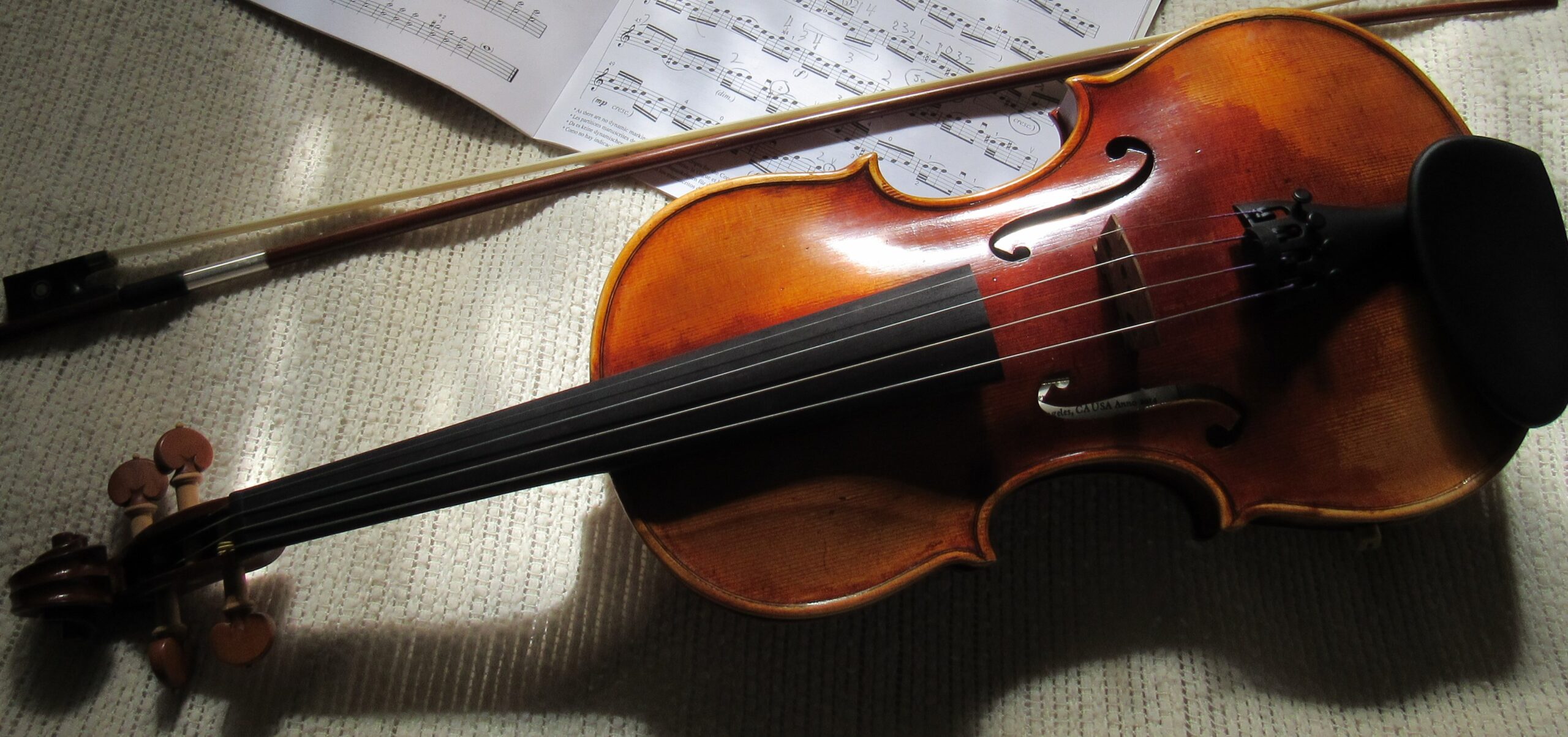 Wesley's violin